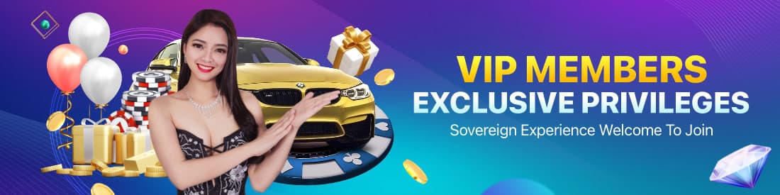 VIP members exclusive privileges VIP members exclusive privileges